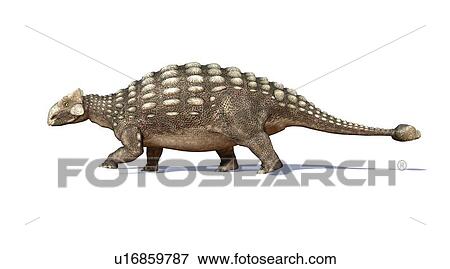 Ankylosaur dinosaur, artwork View Large Illustration Stock Illustration - Ankylosaur dinosaur, artwork. Fotosearch