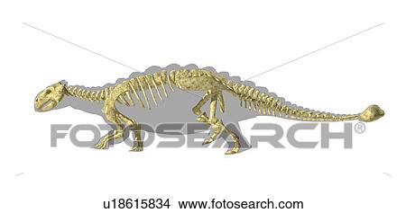 Stock Illustration - Ankylosaur dinosaur skeleton, artwork. Fotosearch