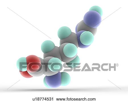 Clip Art - Arginine molecule. Fotosearch