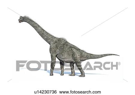 Brachiosaurus dinosaur, artwork View Large Illustration Stock Illustration - Brachiosaurus dinosaur, artwork. Fotosearch