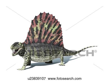 Dimetrodon, artwork View Large Illustration Stock Illustration - Dimetrodon, artwork. Fotosearch