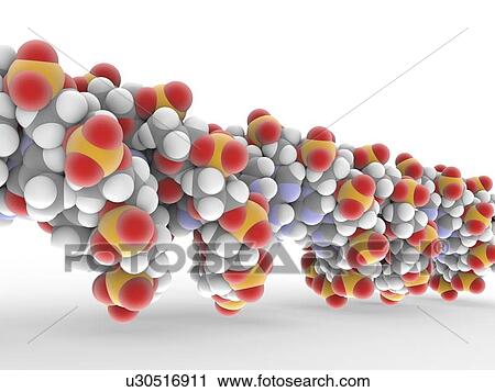Clip Art - DNA molecule. Fotosearch