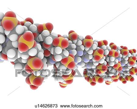 DNA molecule View Large Illustration Drawing - DNA molecule. Fotosearch