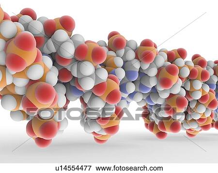 DNA molecule View Large Illustration Stock Illustration - DNA molecule. Fotosearch