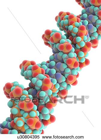 DNA molecule View Large Illustration Stock Illustration - DNA molecule. Fotosearch