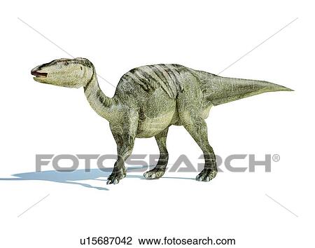 Edmontosaurus dinosaur, artwork View Large Illustration Drawing - Edmontosaurus dinosaur, artwork. Fotosearch