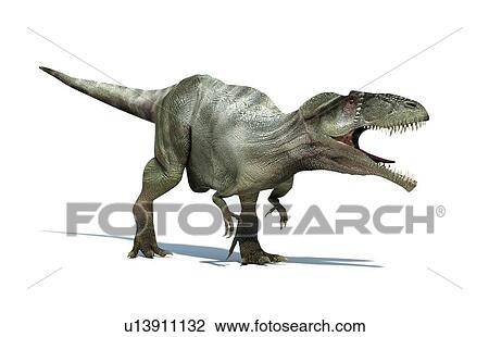 Giganotosaurus dinosaur, artwork View Large Illustration Drawing - Giganotosaurus dinosaur, artwork. Fotosearch