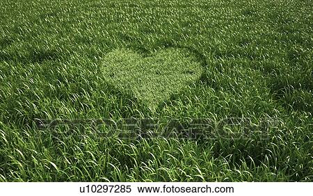 Stock Illustration - Heart-shaped grass, artwork. Fotosearch