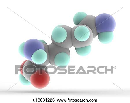 Drawing - Lysine molecule. Fotosearch