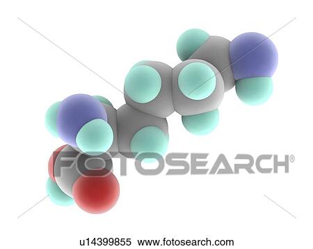 Lysine molecule View Large Illustration Stock Illustration - Lysine molecule. Fotosearch