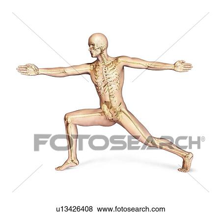 Stock Illustration - Male skeleton, artwork. Fotosearch