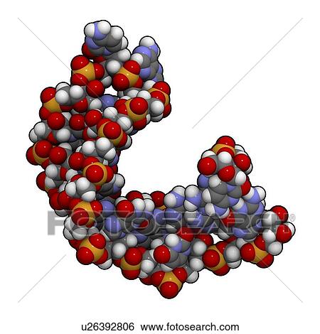 MicroRNA molecule View Large Illustration Stock Illustration - MicroRNA molecule. Fotosearch