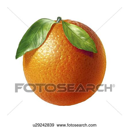 Stock Illustration - Orange, artwork. Fotosearch