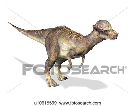 Stock Illustration - Pachycephalosaurus dinosaur, artwork. Fotosearch