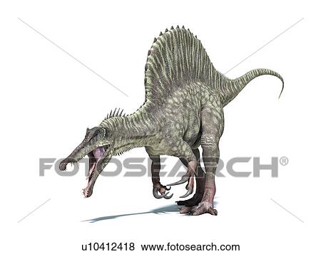 Spinosaurus dinosaur, artwork View Large Illustration Stock Illustration - Spinosaurus dinosaur, artwork. Fotosearch