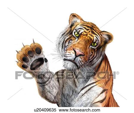 Stock Illustration - Tiger, artwork. Fotosearch