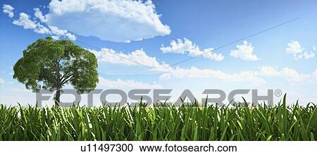 Clipart - Tree in a field, artwork. Fotosearch