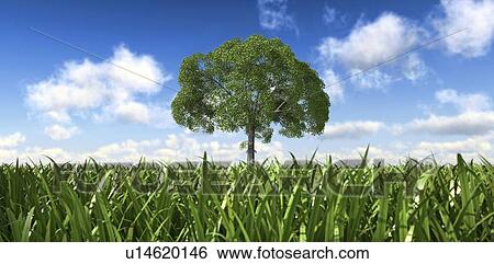 Stock Illustration - Tree in a field, artwork. Fotosearch