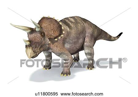 Triceratops dinosaur, artwork View Large Illustration Stock Illustration - Triceratops dinosaur, artwork. Fotosearch