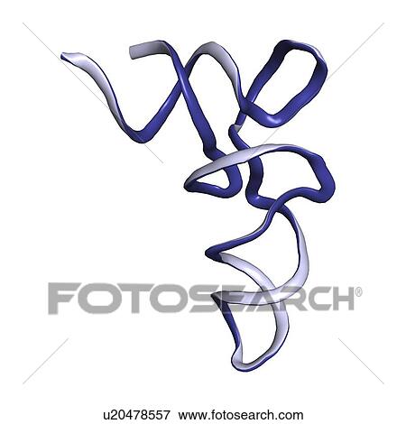 Stock Illustration - tRNA molecule. Fotosearch