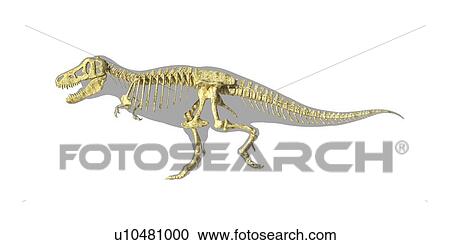 Clipart - Tyrannosaurus rex skeleton, artwork. Fotosearch