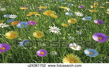 Wildflower meadow, artwork View Large Illustration Drawing - Wildflower meadow, artwork. Fotosearch