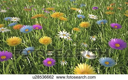 Drawing - Wildflower meadow, artwork. Fotosearch