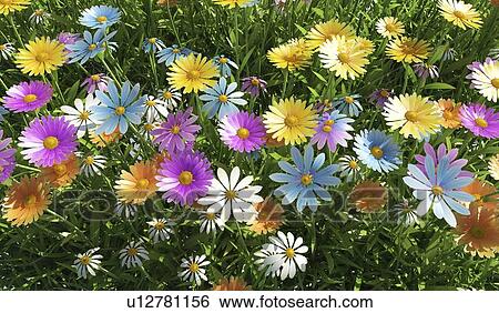 Wildflower meadow, artwork View Large Illustration Stock Illustration - Wildflower meadow, artwork. Fotosearch