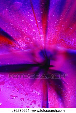 Stock Illustration - appearance, arrangement, abstract. Fotosearch