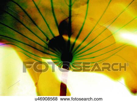 Stock Illustration - appearance, arrangement, abstract. Fotosearch