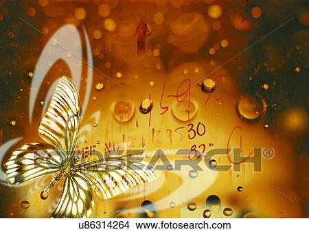 Stock Illustration - Arrangement, Complex, Butterfly, Art, Animal. Fotosearch
