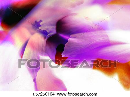 Stock Illustration - Arrangement, Computer Graphics, Complex, Art, Abstract. Fotosearch