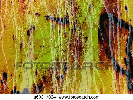 Art, Computer Graphics, Composite, Complex, Arrangement View Large Illustration Stock Illustration - Art, Computer Graphics, Composite, Complex, Arrangement. Fotosearch