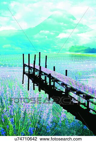 Drawing - Illustration, Composite, Digital Composite, Digitally Generated Image. Fotosearch
