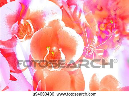 Stock Illustration - Illustration, Digital Composite, Digitally Generated Image. Fotosearch