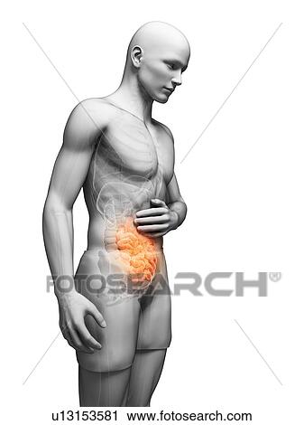 Abdominal pain, artwork View Large Illustration Clip Art - Abdominal pain, artwork. Fotosearch
