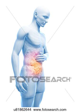 Abdominal pain, artwork View Large Illustration Stock Illustration - Abdominal pain, artwork. Fotosearch
