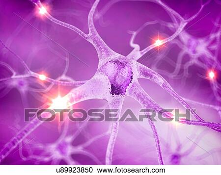 Clipart - Active nerve cells, artwork. Fotosearch