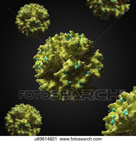 Clip Art - Adenovirus, artwork. Fotosearch