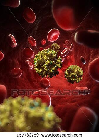 Stock Illustration - Adenovirus, artwork. Fotosearch