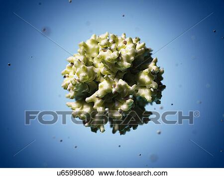 Clipart - Adenovirus particle, artwork. Fotosearch