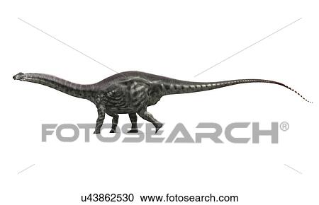Clipart - Apatosaurus dinosaur, artwork. Fotosearch