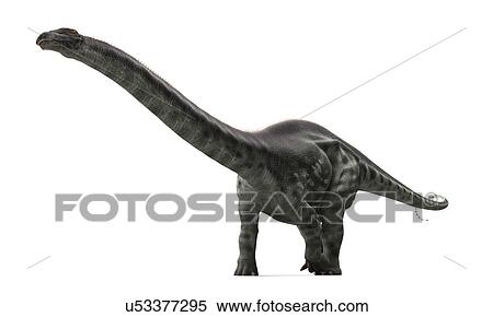 Stock Illustration - Apatosaurus dinosaur, artwork. Fotosearch