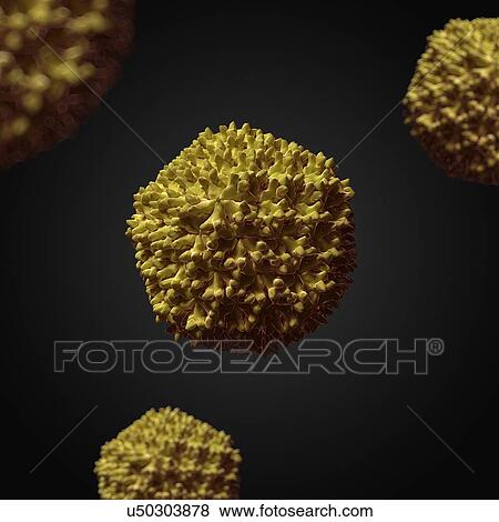 Avian infectious bursal disease virus View Large Illustration Stock Illustration - Avian infectious bursal disease virus. Fotosearch