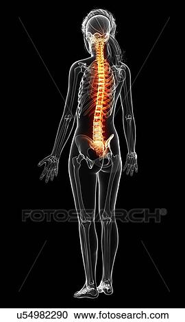 Back pain, artwork View Large Illustration Clipart - Back pain, artwork. Fotosearch
