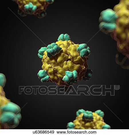 Stock Illustration - Bacteriophage X-174, artwork. Fotosearch