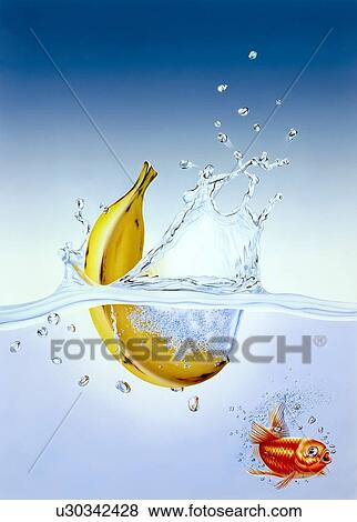 Banana in a fish tank, artwork View Large Illustration Stock Illustration - Banana in a fish tank, artwork. Fotosearch