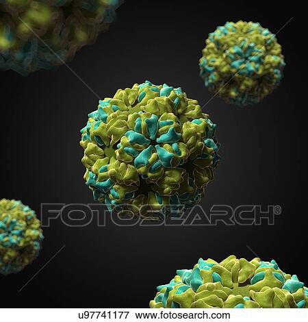 Stock Illustration - Caulobacter bacteriophage, artwork. Fotosearch