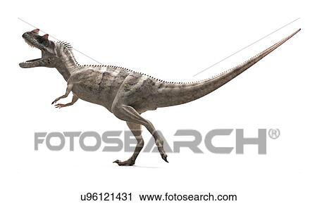 Ceratosaurus dinosaur, artwork View Large Illustration Clip Art - Ceratosaurus dinosaur, artwork. Fotosearch