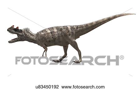 Ceratosaurus dinosaur, artwork View Large Illustration Drawing - Ceratosaurus dinosaur, artwork. Fotosearch